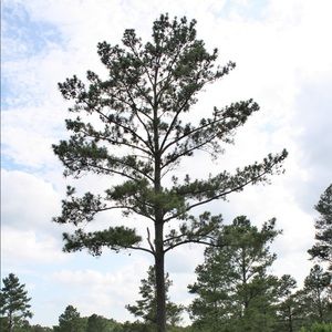 Meet your Posher, Kenny